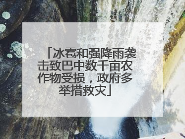 冰雹和强降雨袭击致巴中数千亩农作物受损，政府多举措救灾