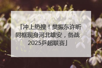 冲上热搜！樊振东许昕同框现身河北雄安，备战2025乒超联赛