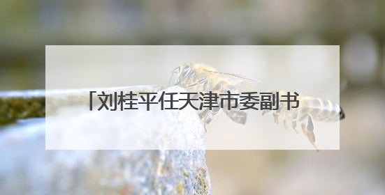 刘桂平任天津市委副书记 陈辐宽不再担任