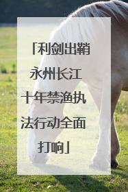利剑出鞘 永州长江十年禁渔执法行动全面打响