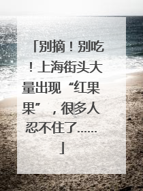别摘！别吃！上海街头大量出现“红果果”，很多人忍不住了……