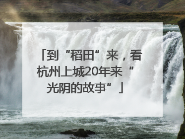 到“稻田”来，看杭州上城20年来“光阴的故事”