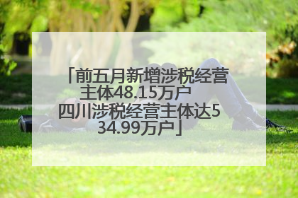 前五月新增涉税经营主体48.15万户 四川涉税经营主体达534.99万户