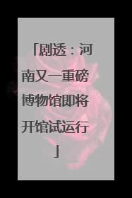 剧透：河南又一重磅博物馆即将开馆试运行