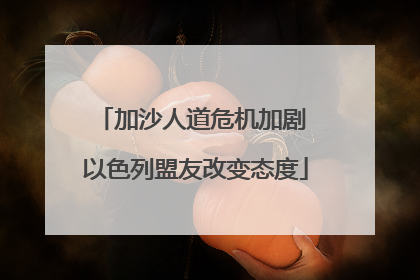 加沙人道危机加剧 以色列盟友改变态度