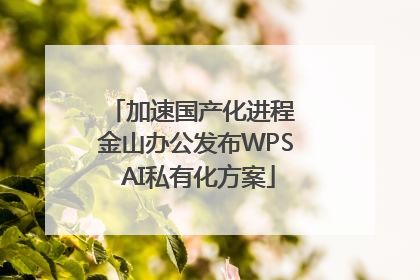 加速国产化进程 金山办公发布WPS AI私有化方案