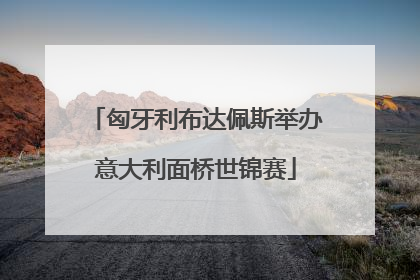 匈牙利布达佩斯举办意大利面桥世锦赛
