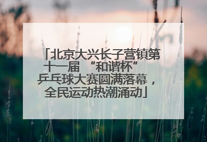 北京大兴长子营镇第十一届 “和谐杯” 乒乓球大赛圆满落幕，全民运动热潮涌动