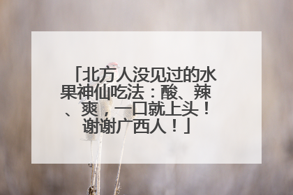 北方人没见过的水果神仙吃法：酸、辣、爽，一口就上头！谢谢广西人！