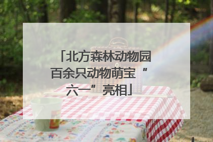 北方森林动物园百余只动物萌宝“六一”亮相