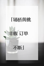 埇桥黄桃丰收 订单不断