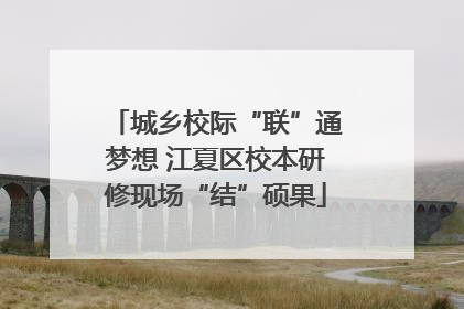 城乡校际“联”通梦想 江夏区校本研修现场“结”硕果