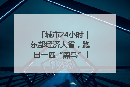 城市24小时｜东部经济大省，跑出一匹“黑马”