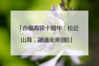 合福高铁十周年：拉近山海，融通未来(图)
