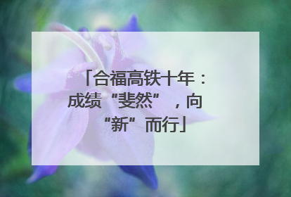 合福高铁十年：成绩“斐然”，向“新”而行