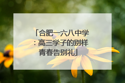 合肥一六八中学：高三学子的别样青春告别礼