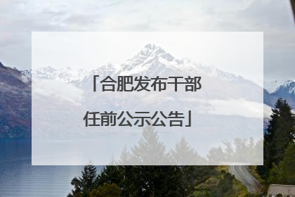 合肥发布干部任前公示公告