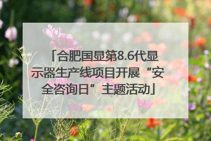 合肥国显第8.6代显示器生产线项目开展“安全咨询日”主题活动