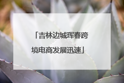 吉林边城珲春跨境电商发展迅速