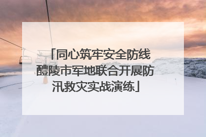 同心筑牢安全防线 醴陵市军地联合开展防汛救灾实战演练