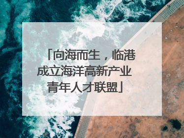 向海而生，临港成立海洋高新产业青年人才联盟
