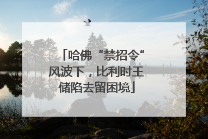 哈佛“禁招令”风波下，比利时王储陷去留困境