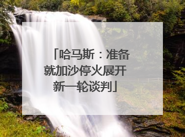 哈马斯：准备就加沙停火展开新一轮谈判