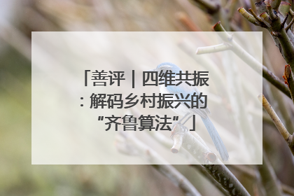 善评｜四维共振：解码乡村振兴的“齐鲁算法”