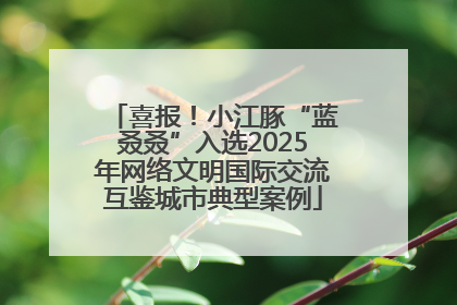 喜报！小江豚“蓝叒叒”入选2025年网络文明国际交流互鉴城市典型案例