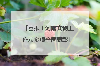 喜报！河南文物工作获多项全国表彰