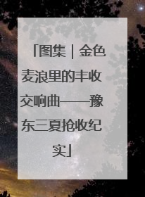 图集｜金色麦浪里的丰收交响曲——豫东三夏抢收纪实