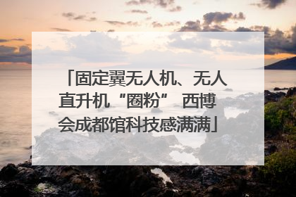 固定翼无人机、无人直升机“圈粉” 西博会成都馆科技感满满