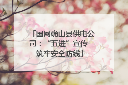 国网确山县供电公司：“五进”宣传 筑牢安全防线