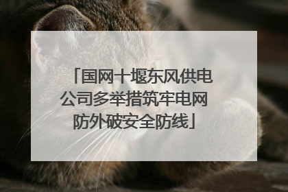 国网十堰东风供电公司多举措筑牢电网防外破安全防线