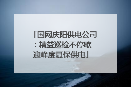 国网庆阳供电公司：精益巡检不停歇 迎峰度夏保供电
