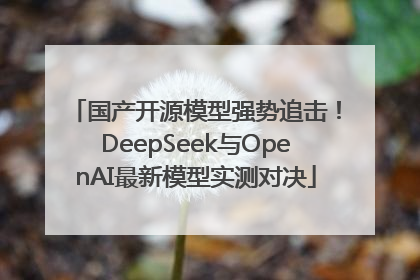 国产开源模型强势追击！DeepSeek与OpenAI最新模型实测对决