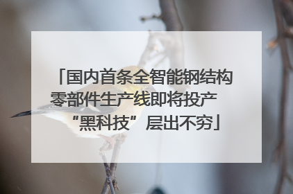 国内首条全智能钢结构零部件生产线即将投产 “黑科技”层出不穷