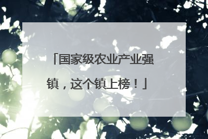 国家级农业产业强镇，这个镇上榜！