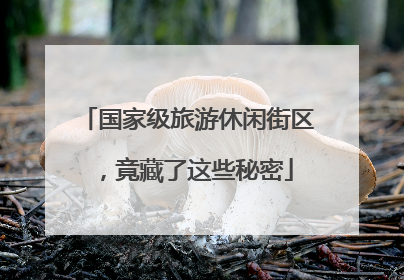 国家级旅游休闲街区，竟藏了这些秘密