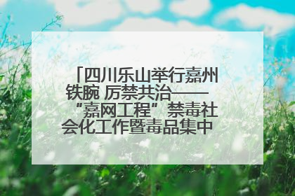 四川乐山举行嘉州铁腕 厉禁共治——“嘉网工程”禁毒社会化工作暨毒品集中销毁启动仪式
