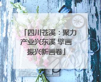 四川苍溪：聚力产业兴东溪 擘画振兴新画卷