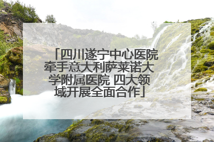 四川遂宁中心医院牵手意大利萨莱诺大学附属医院 四大领域开展全面合作