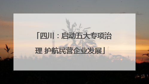 四川：启动五大专项治理 护航民营企业发展