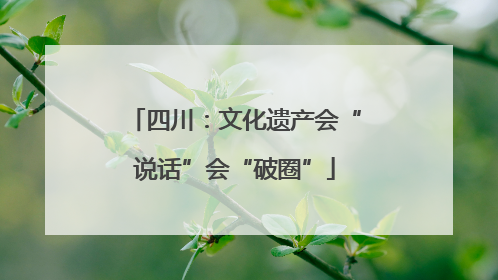 四川：文化遗产会“说话”会“破圈”