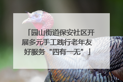 园山街道保安社区开展多元手工践行老年友好服务“四有一无”