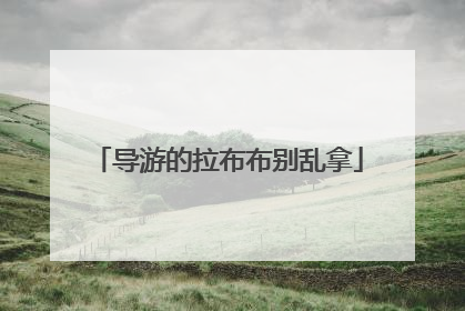 导游的拉布布别乱拿