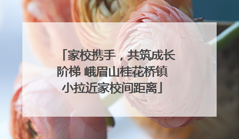 家校携手，共筑成长阶梯 峨眉山桂花桥镇小拉近家校间距离