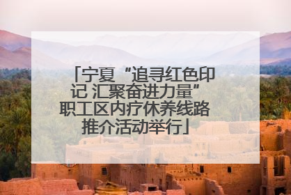 宁夏“追寻红色印记 汇聚奋进力量”职工区内疗休养线路推介活动举行