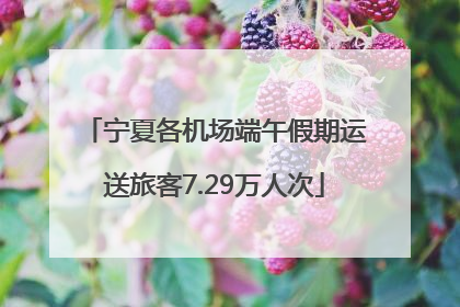 宁夏各机场端午假期运送旅客7.29万人次