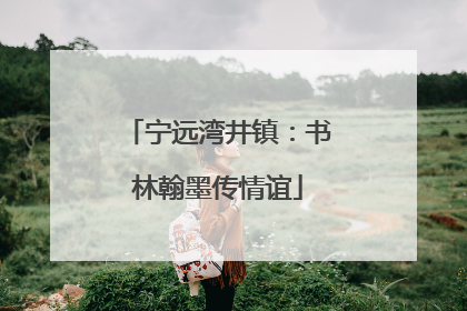 宁远湾井镇：书林翰墨传情谊